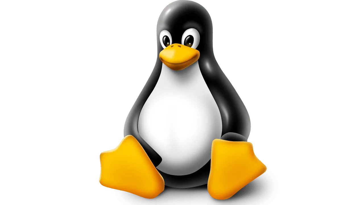 Servidor Linux